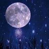 mandeep_guptama